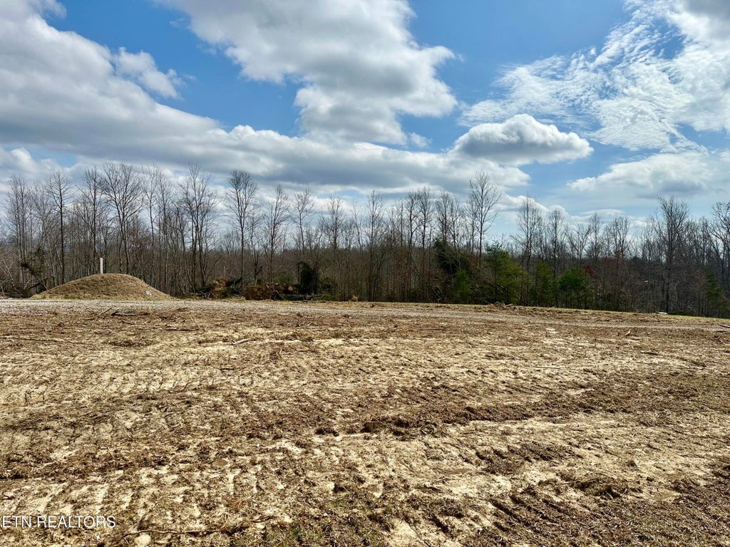 Photo of 2747 Deer Lodge Highway Hwy, Deer Lodge, TN 37726 (MLS # 1293473)