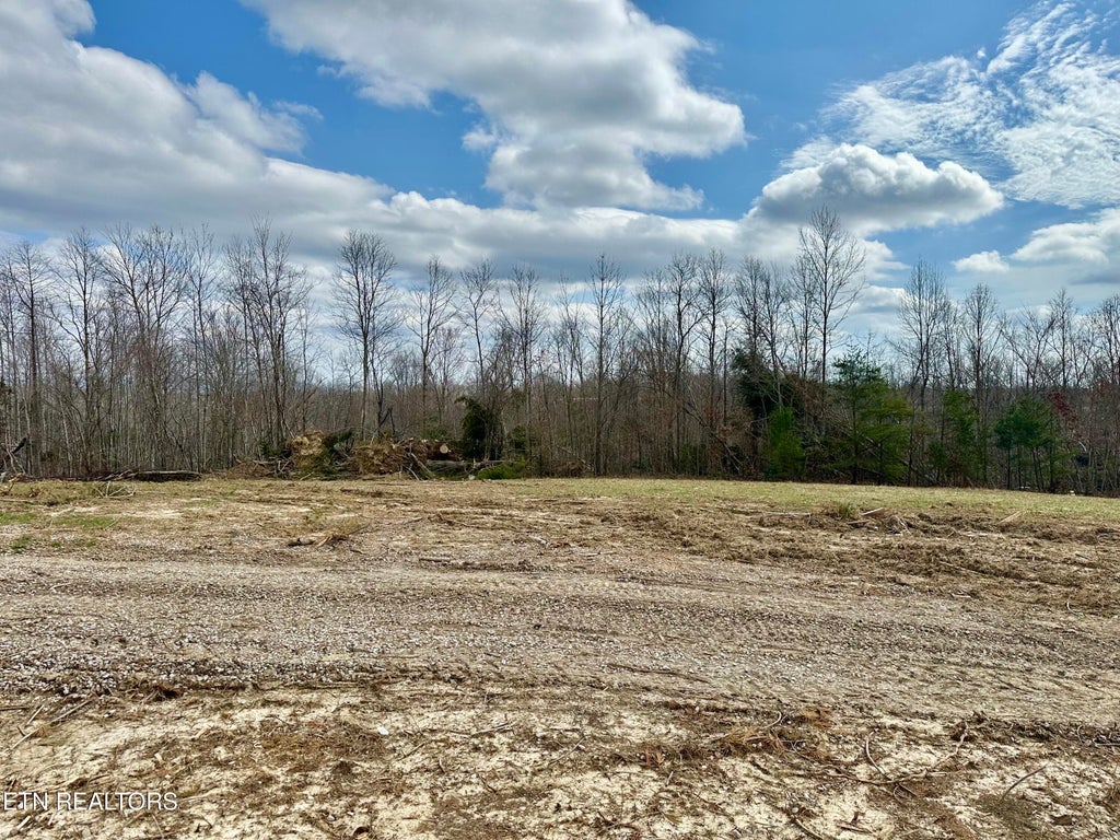 Photo of 2747 Deer Lodge Highway Hwy, Deer Lodge, TN 37726 (MLS # 1293473)