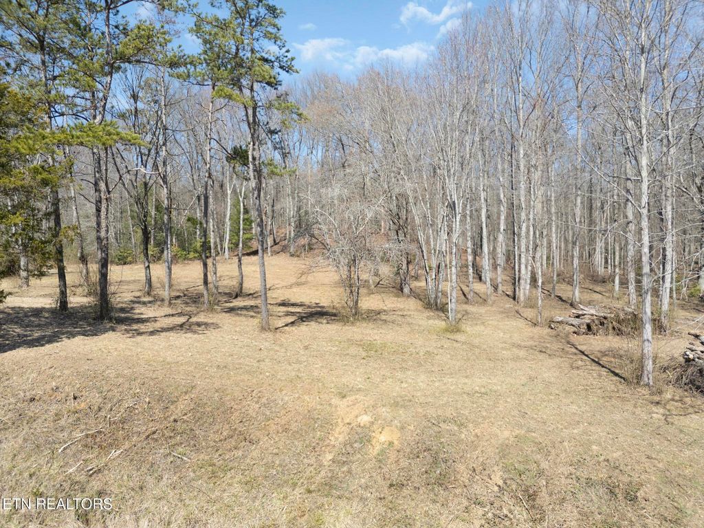 Photo of 58 W End Rd, Rockwood, TN 37854 (MLS # 1293244)
