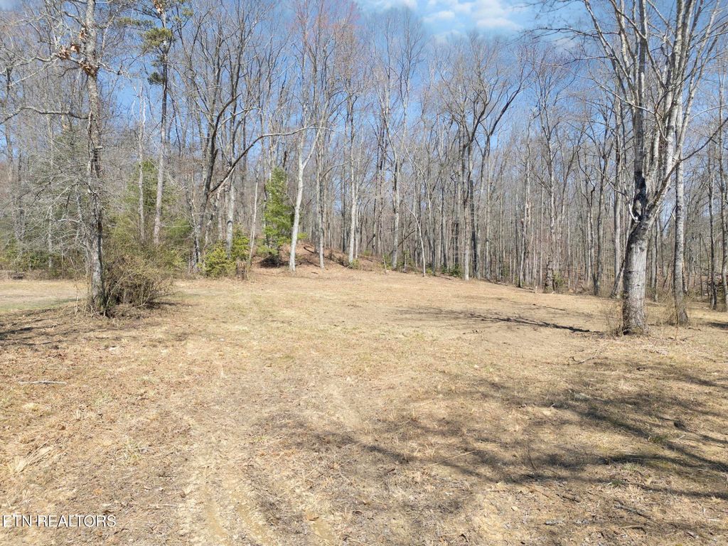 Photo of 58 W End Rd, Rockwood, TN 37854 (MLS # 1293244)