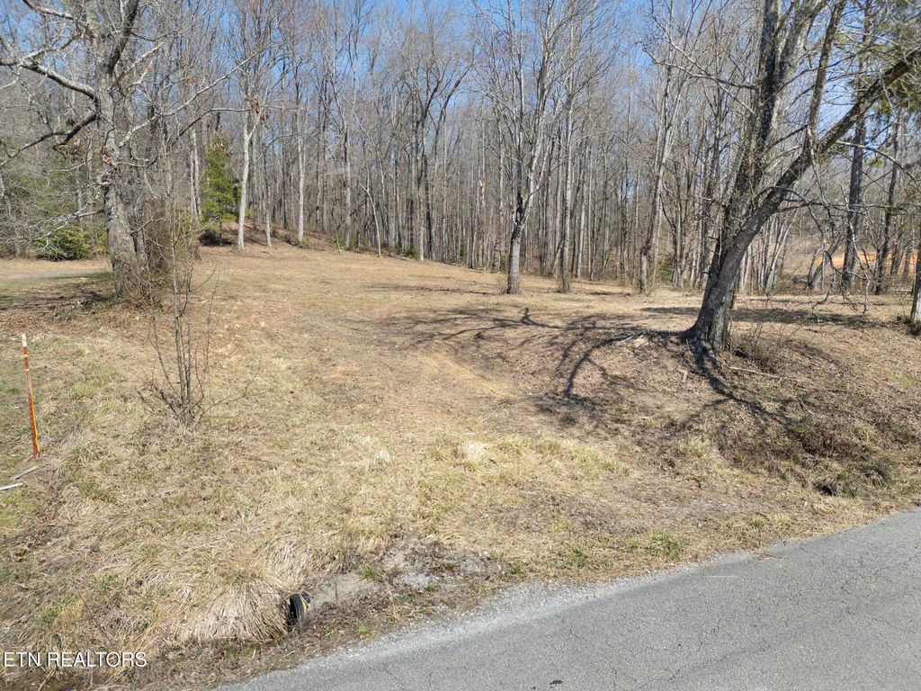 Photo of 58 W End Rd, Rockwood, TN 37854 (MLS # 1293244)