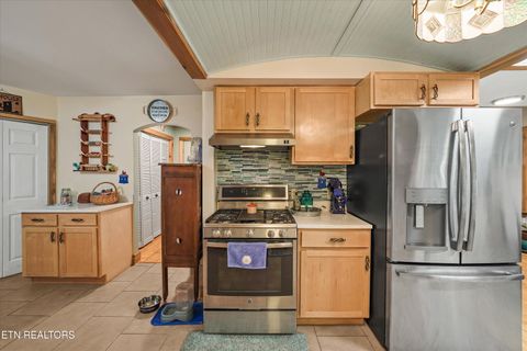 Tiny photo for 2501 Valley View Rd, Dandridge, TN 37725 (MLS # 1335795)