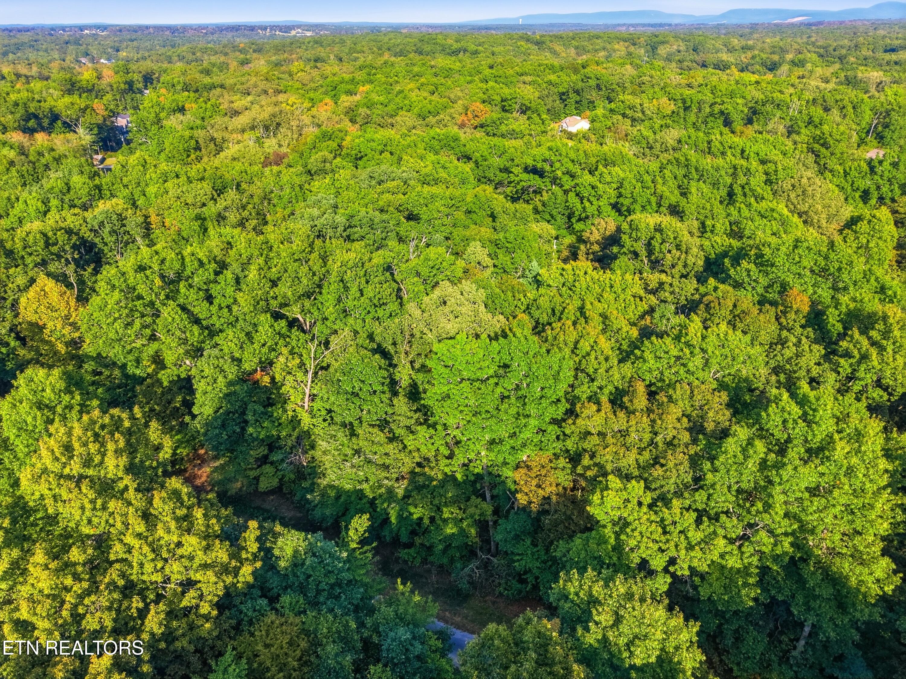 615 Catawba Lane