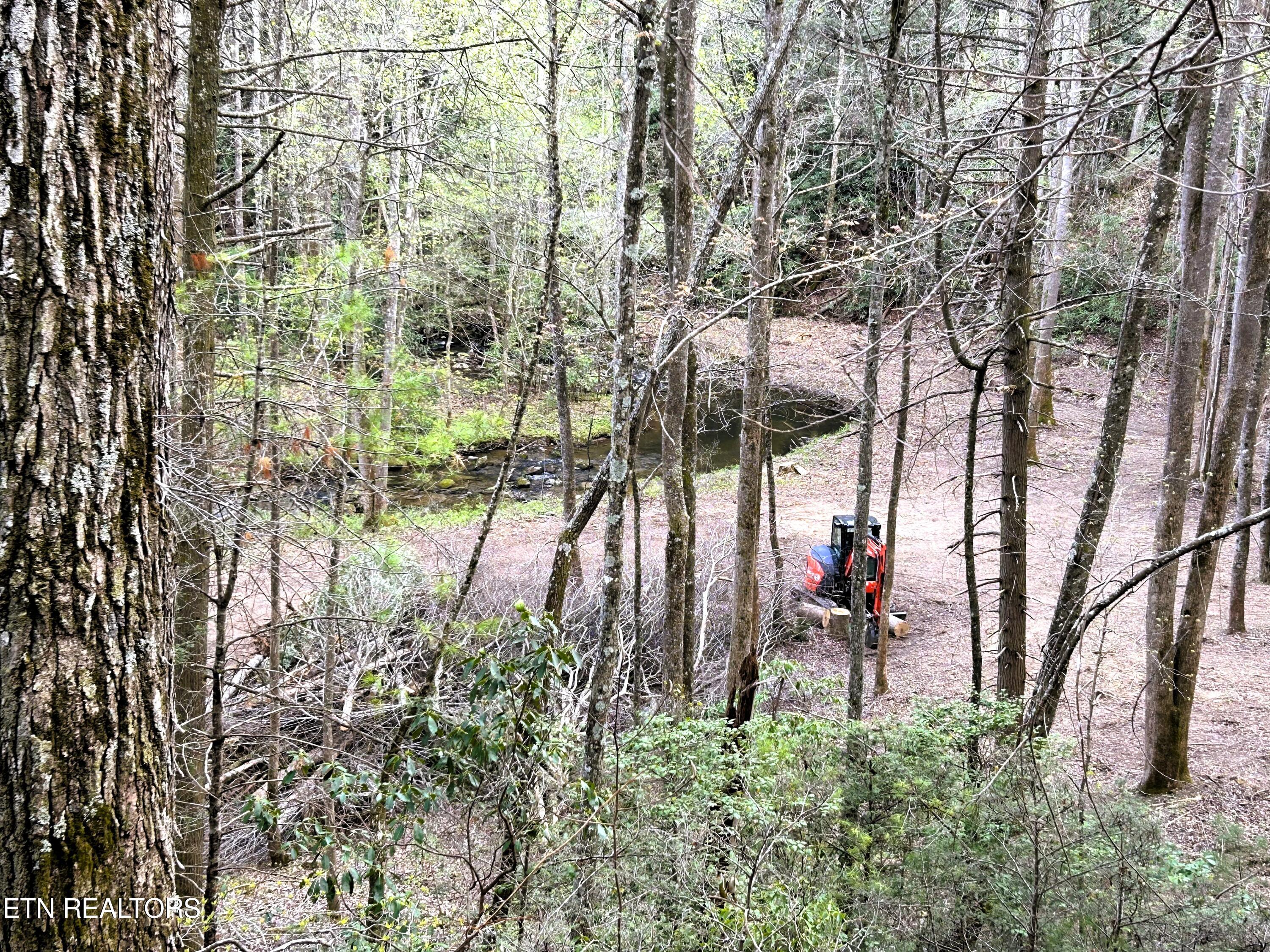40 acres Ivy Trail