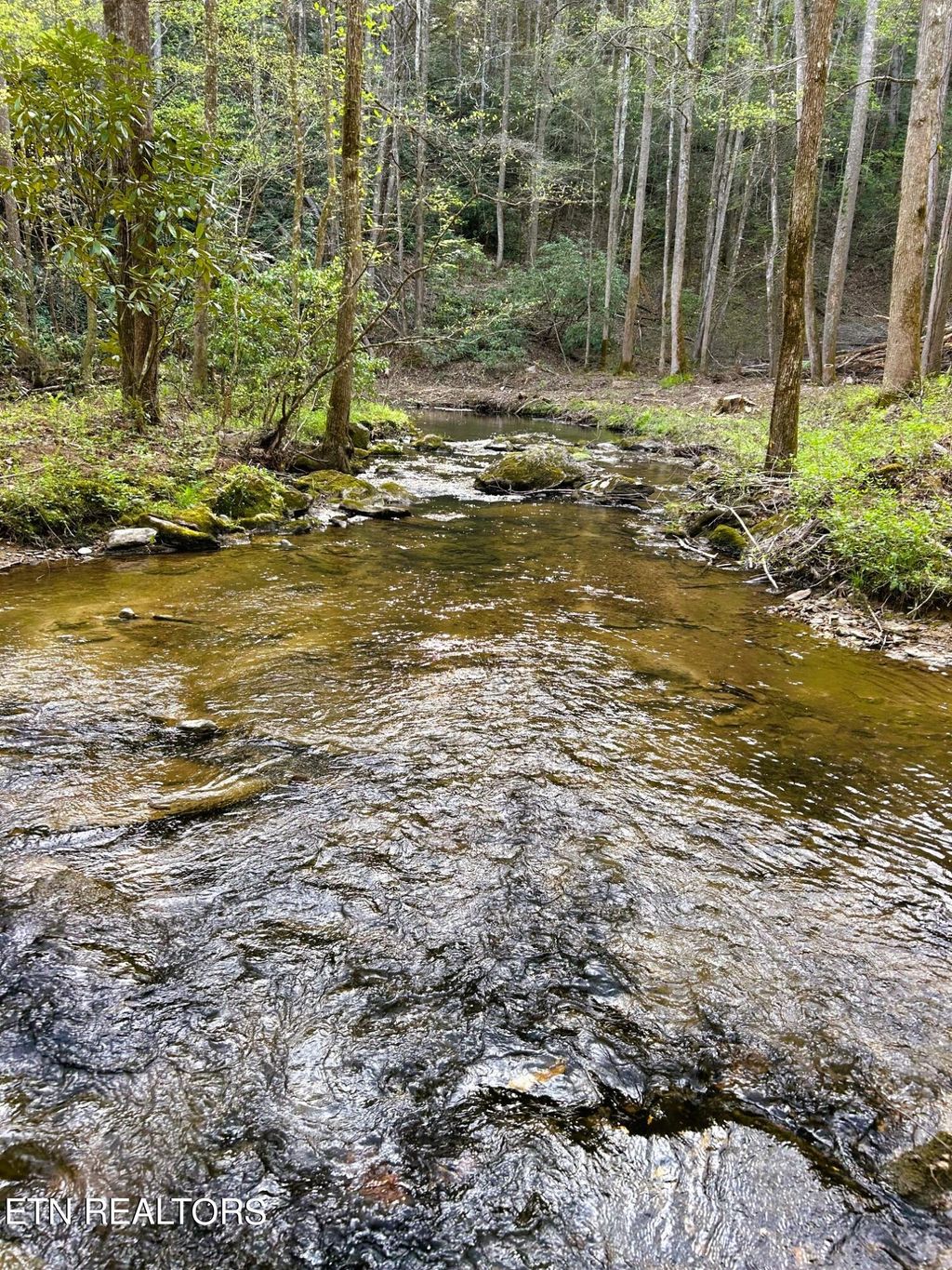 Photo of 40 Ivy Trail, Tellico Plains, TN 37385 (MLS # 1271248)