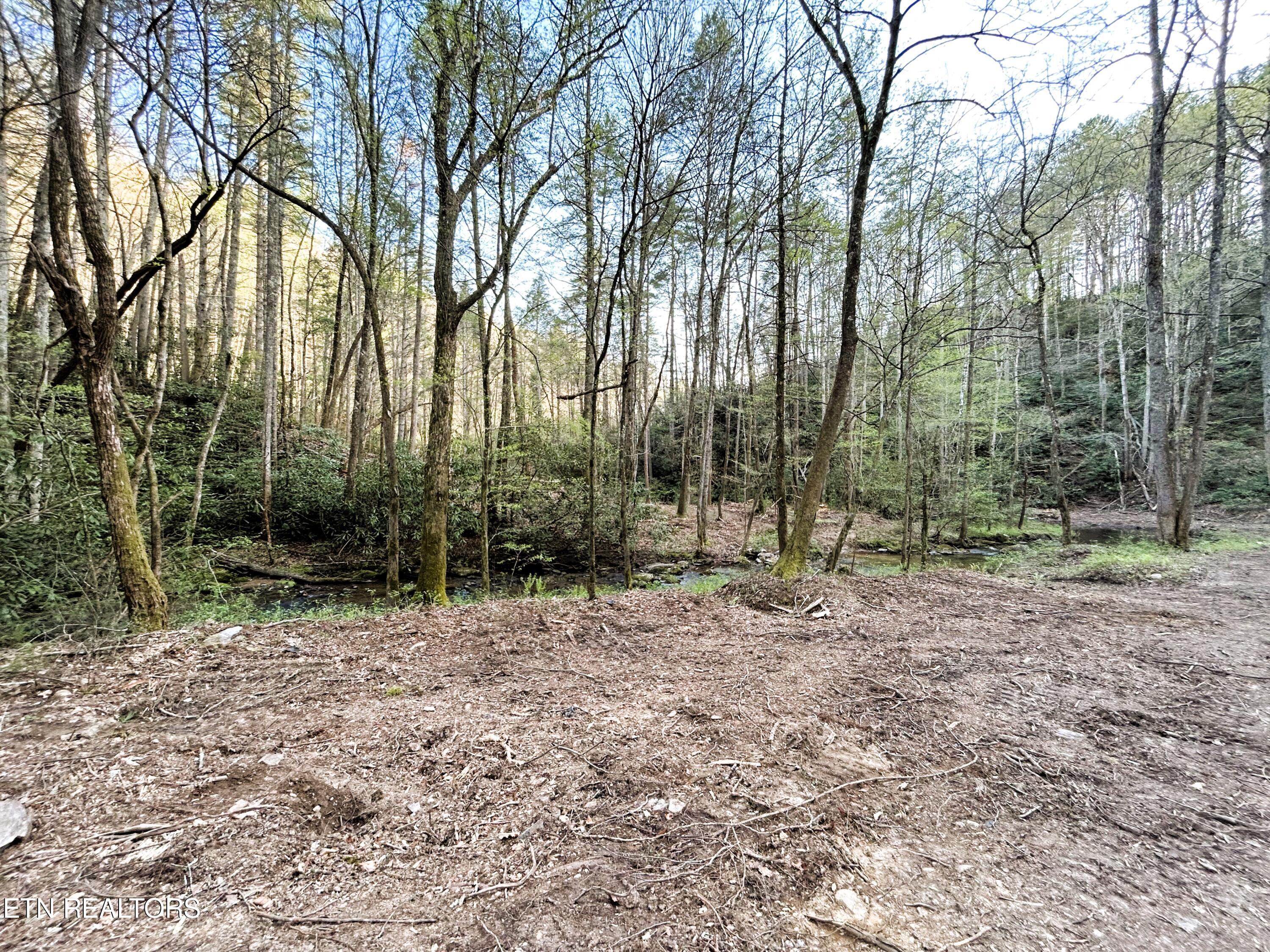 40 acres Ivy Trail