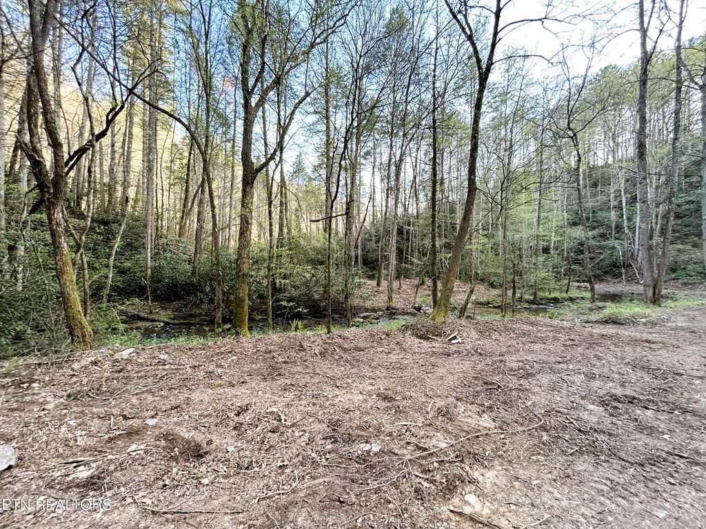 Photo of 40 Ivy Trail, Tellico Plains, TN 37385 (MLS # 1271248)