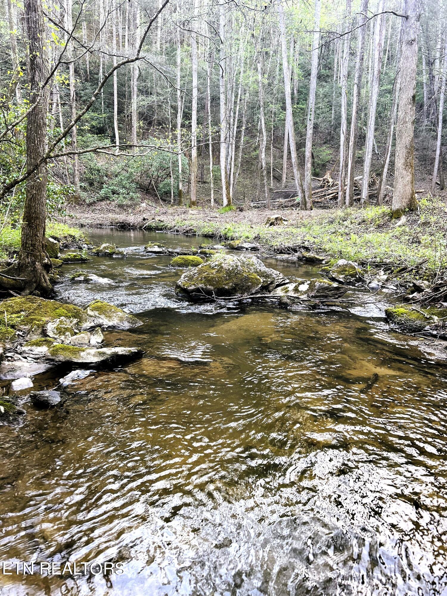 40 acres Ivy Trail