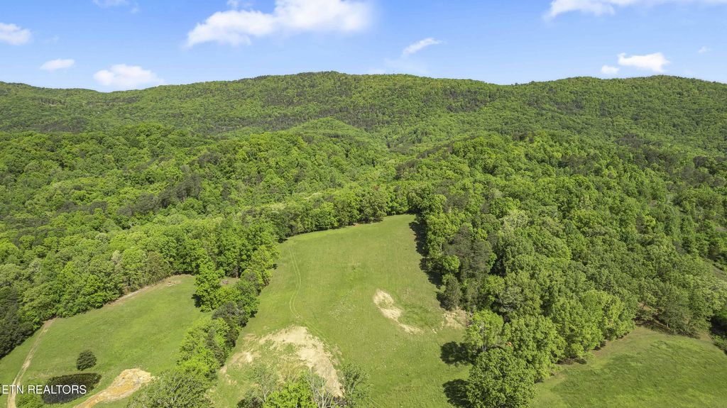 Photo of 3419 Rutledge Pike, Blaine, TN 37709 (MLS # 1299750)