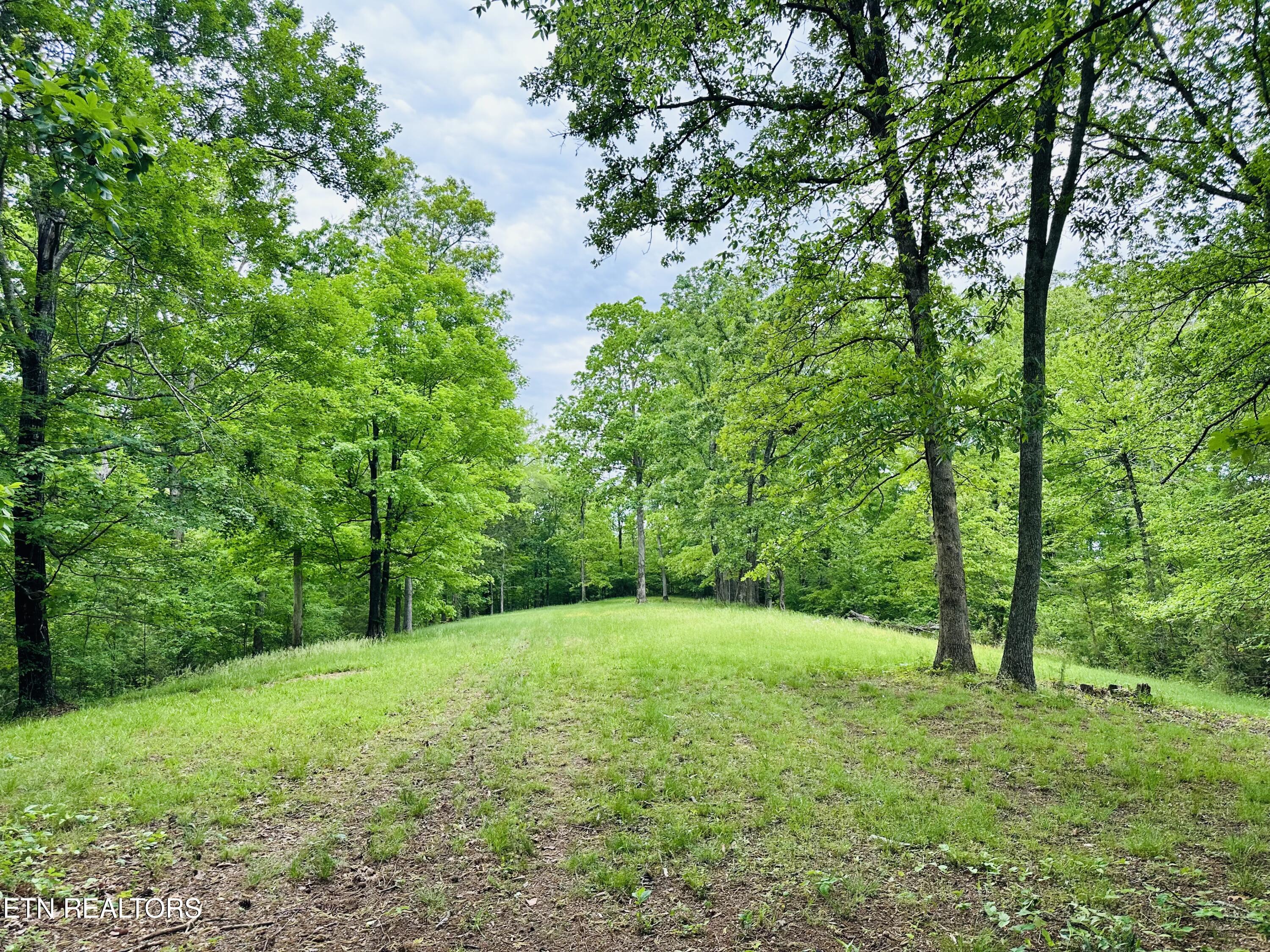 3419 Rutledge Pike
