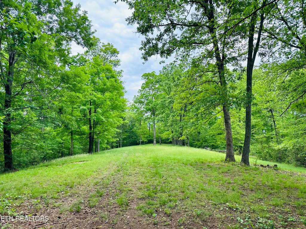 Photo of 3419 Rutledge Pike, Blaine, TN 37709 (MLS # 1299750)