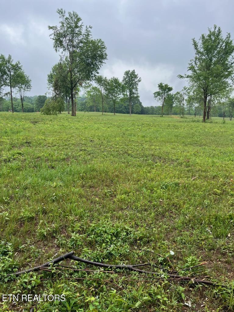 Stone Mill Rd Lot 2