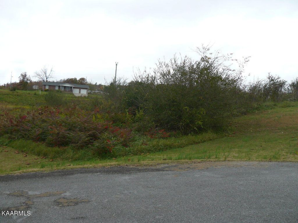 Photo of Jean Woods Circle, Tazewell, TN 37879 (MLS # 1214133)