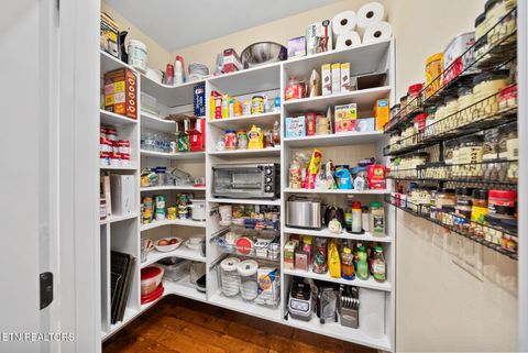 Tiny photo for 51 Oak Leaf Circle Cir, Fairfield Glade, TN 38558 (MLS # 1327573)