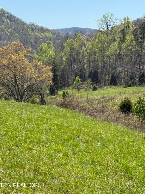 Photo of 0000 Goshen Valley (65 acres) Rd, Church Hill, TN 37642 (MLS # 1336328)