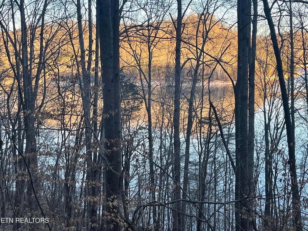 Photo of 0 Back Bone Rd, Sparta, TN 38583 (MLS # 1335126)