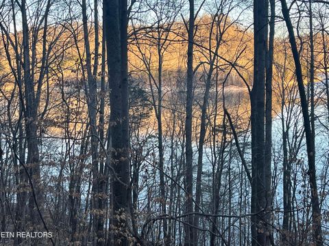 Photo of 0 Back Bone Rd, Sparta, TN 38583 (MLS # 1335126)