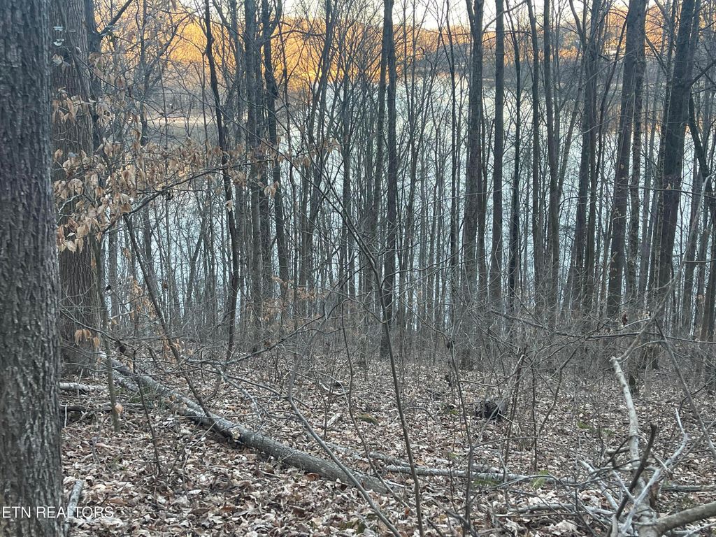 Photo of 0 Back Bone Rd, Sparta, TN 38583 (MLS # 1335126)