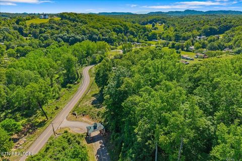 Tiny photo for 00 Poplar Lot 54 Drive, Sweetwater, TN 37874 (MLS # 1340245)