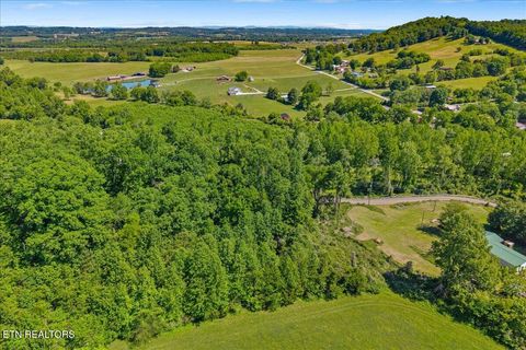 Tiny photo for 00 Poplar Lot 54 Drive, Sweetwater, TN 37874 (MLS # 1340245)