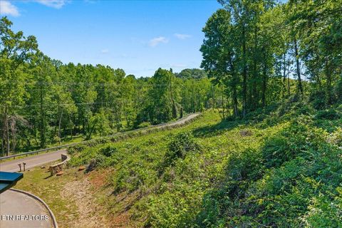 Photo of 00 Poplar Lot 54 Drive, Sweetwater, TN 37874 (MLS # 1340245)