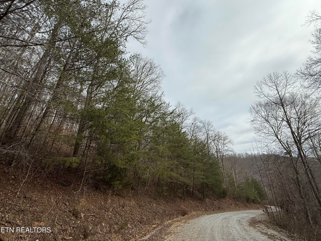 Photo of JONES RIDGE RD Rd, Speedwell, TN 37870 (MLS # 1291762)