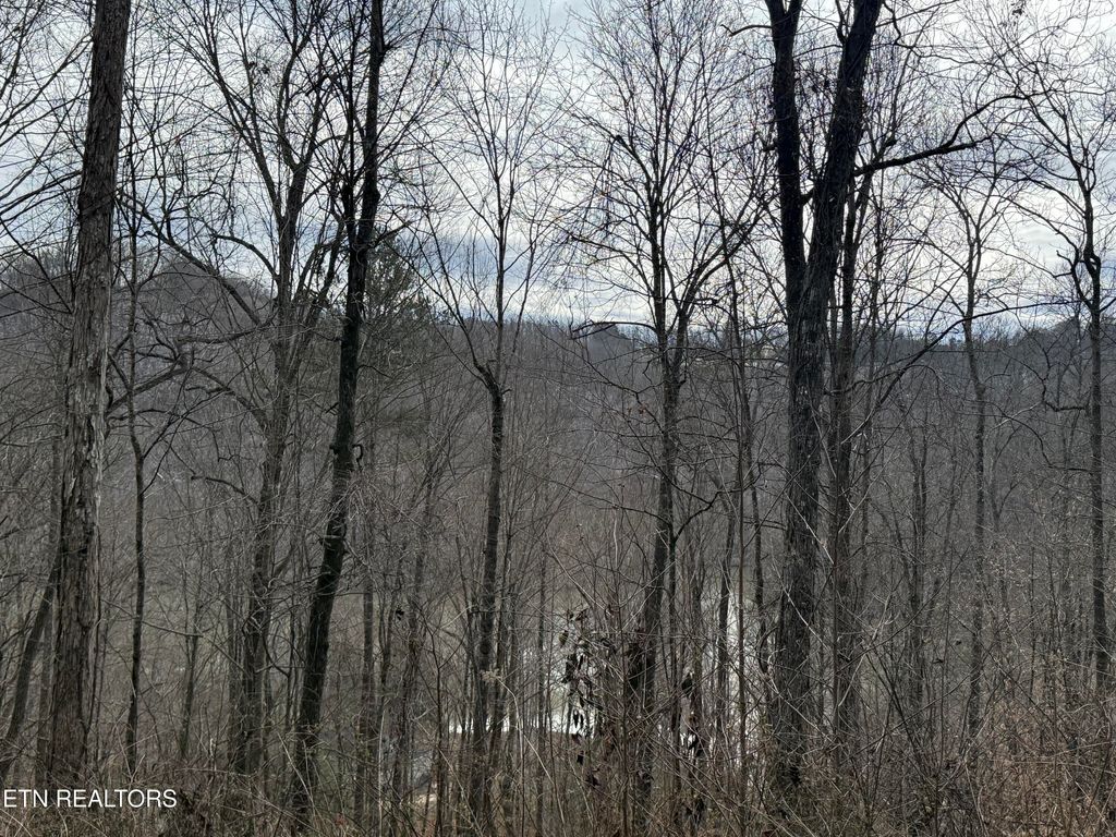 Photo of JONES RIDGE RD Rd, Speedwell, TN 37870 (MLS # 1291762)