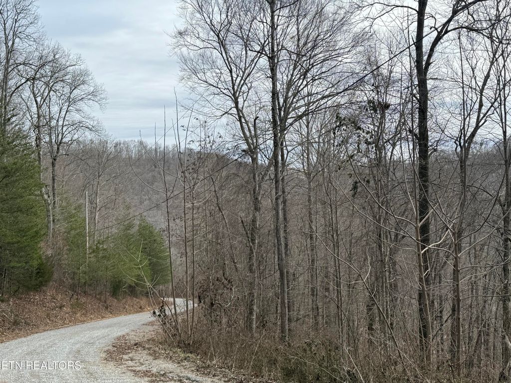 Photo of JONES RIDGE RD Rd, Speedwell, TN 37870 (MLS # 1291762)