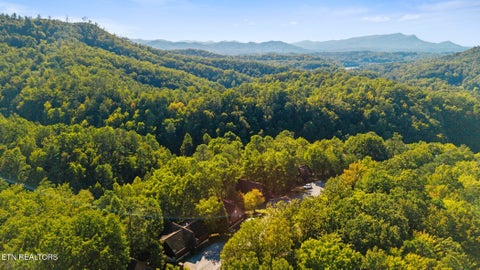 Tiny photo for 1660 Raccoon Den Way, Sevierville, TN 37862 (MLS # 1357489)