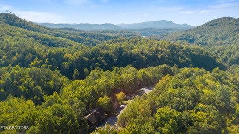 Tiny photo for 1660 Raccoon Den Way, Sevierville, TN 37862 (MLS # 1357489)