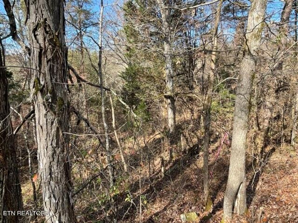 Photo of Happy Hollow Lane Lane, Sevierville, TN 37876 (MLS # 1273078)