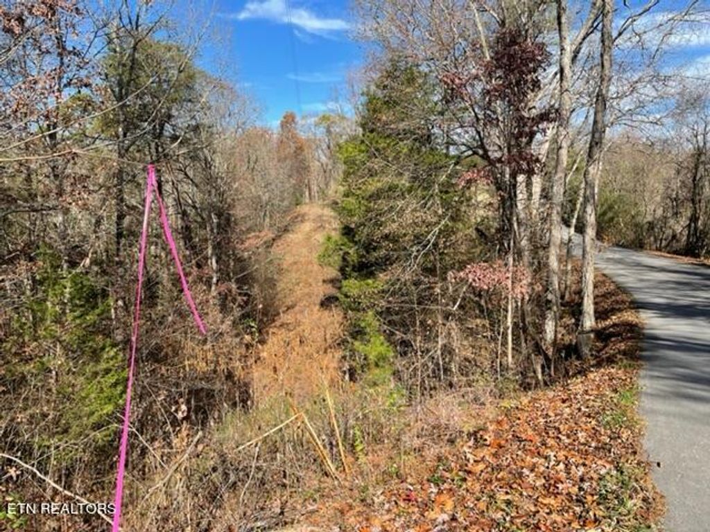 Photo of Happy Hollow Lane Lane, Sevierville, TN 37876 (MLS # 1273078)