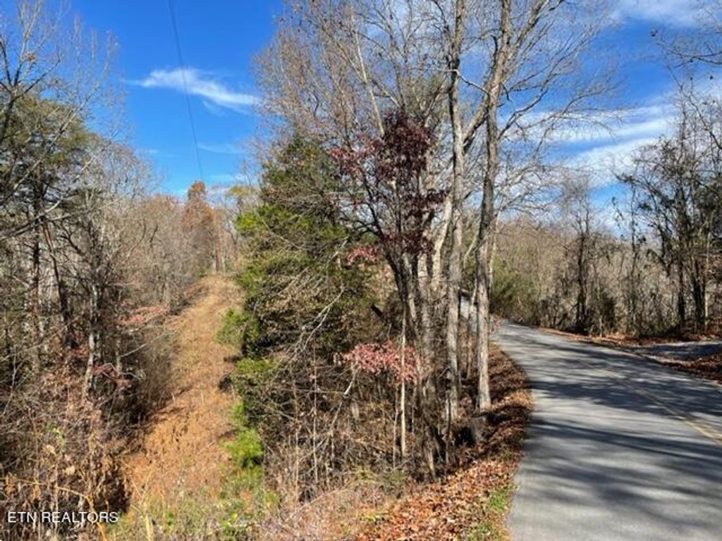 Photo of Happy Hollow Lane Lane, Sevierville, TN 37876 (MLS # 1273078)