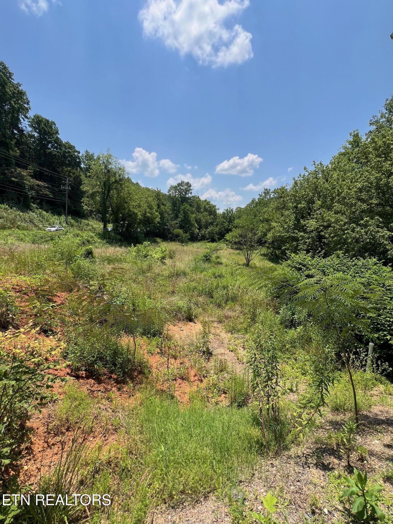 632 Briceville Hwy