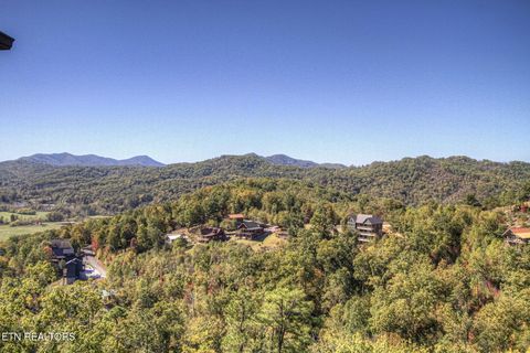 Tiny photo for 2498 Black Bear Ridge Way, Sevierville, TN 37862 (MLS # 1319195)