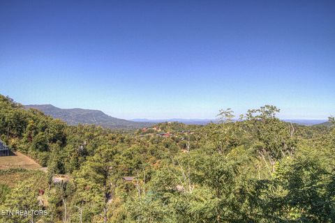 Tiny photo for 2498 Black Bear Ridge Way, Sevierville, TN 37862 (MLS # 1319195)