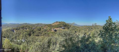 Tiny photo for 2498 Black Bear Ridge Way, Sevierville, TN 37862 (MLS # 1319195)
