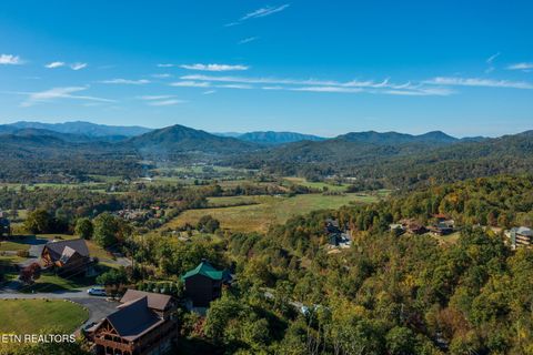 Tiny photo for 2498 Black Bear Ridge Way, Sevierville, TN 37862 (MLS # 1319195)