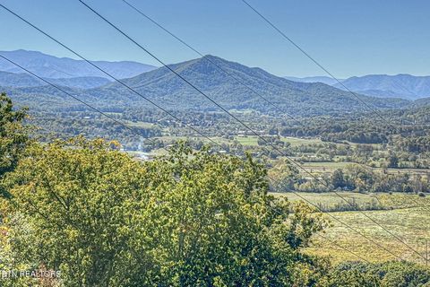 Tiny photo for 2498 Black Bear Ridge Way, Sevierville, TN 37862 (MLS # 1319195)