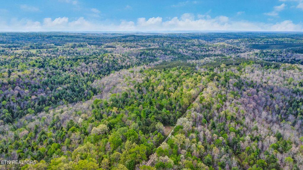 Photo of 1478 Old Collins Rd, Deer Lodge, TN 37726 (MLS # 1302649)