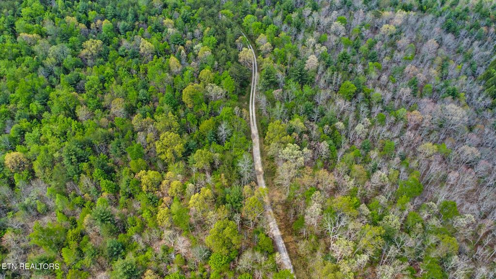 Photo of 1478 Old Collins Rd, Deer Lodge, TN 37726 (MLS # 1302649)