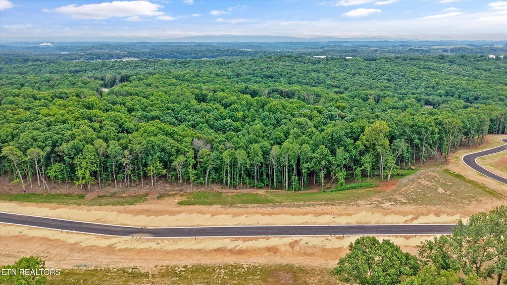 Photo of 145 Canopy Trail Lane, Loudon, TN 37774 (MLS # 1338276)
