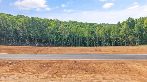 Photo of 145 Canopy Trail Lane, Loudon, TN 37774 (MLS # 1338276)