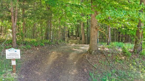 Tiny photo for 145 Canopy Trail Lane, Loudon, TN 37774 (MLS # 1338276)