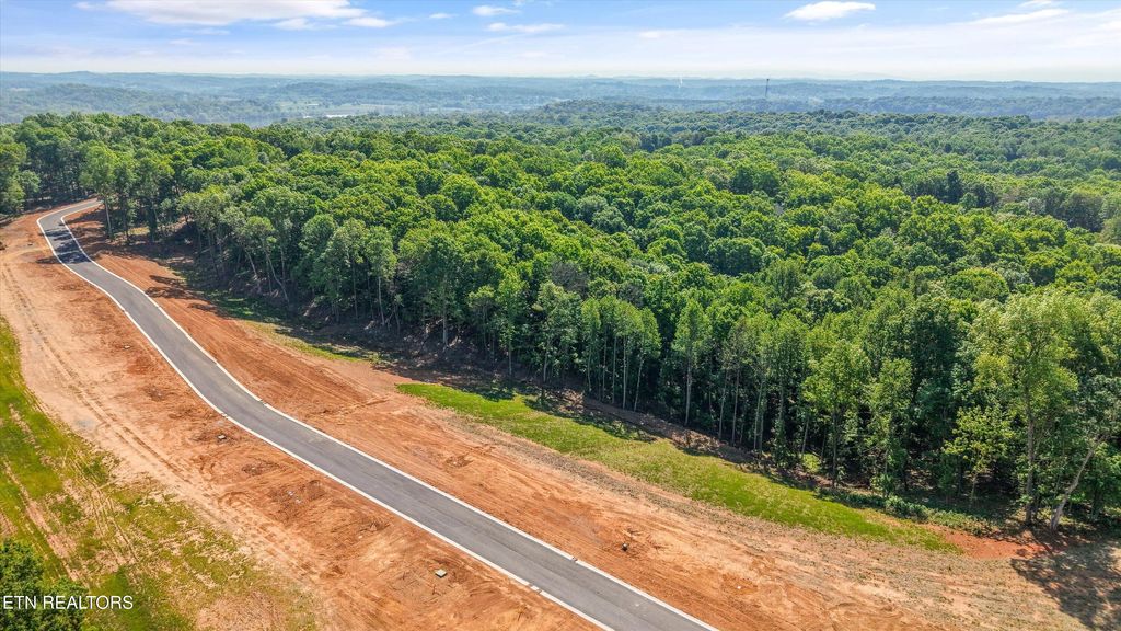 Photo of 145 Canopy Trail Lane, Loudon, TN 37774 (MLS # 1338276)