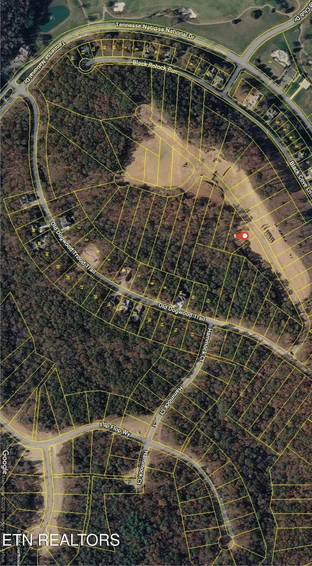 Photo of 145 Canopy Trail Lane, Loudon, TN 37774 (MLS # 1338276)