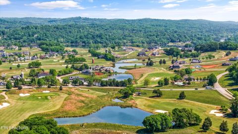 Tiny photo for 145 Canopy Trail Lane, Loudon, TN 37774 (MLS # 1338276)