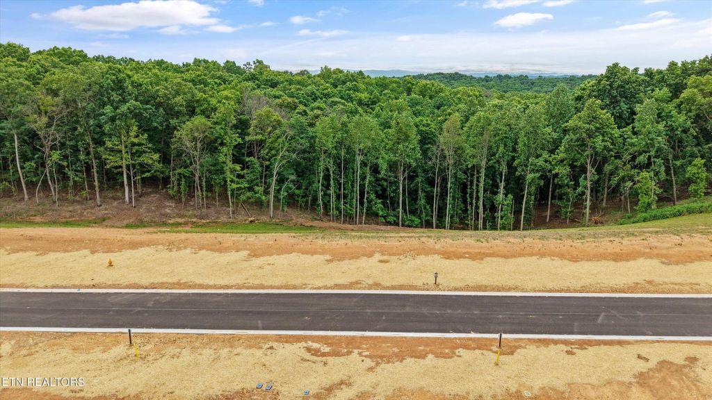 Photo of 145 Canopy Trail Lane, Loudon, TN 37774 (MLS # 1338276)