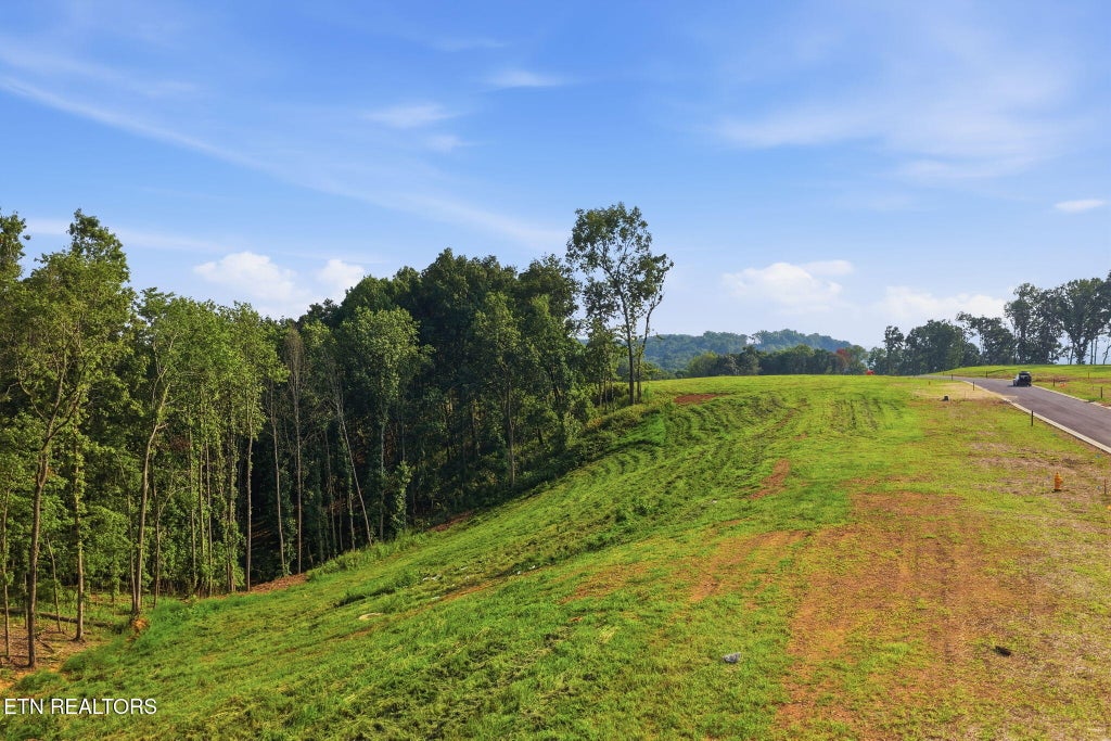 Photo of 145 Canopy Trail Lane, Loudon, TN 37774 (MLS # 1338276)