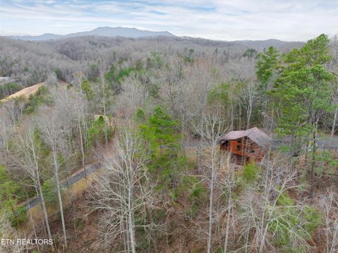 Tiny photo for 3830 Katelyns Lane, Sevierville, TN 37876 (MLS # 1330102)